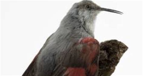 Cache Cache à Niort