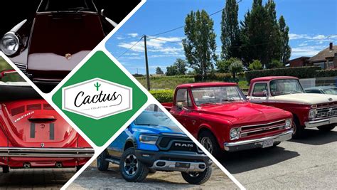 Cactus Collection à Préchac