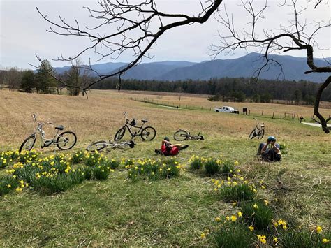 Cades Cove Campground Store and Bike Rental