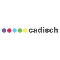 Cadisch Precision Meshes Ltd