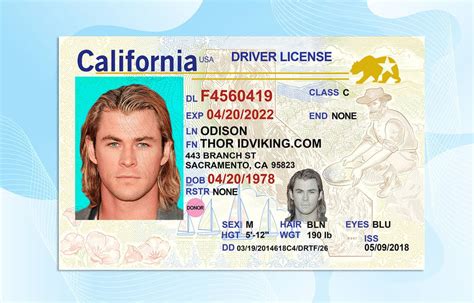 California Driver License Template