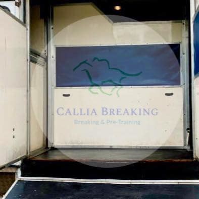 Callia Horses Transport