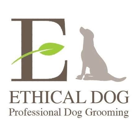 Calm Paws Leicester: Ethical Dog Care, Training and Behaviour