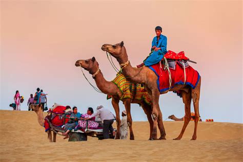 Camel safari jaisalmer