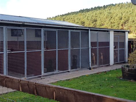 Campbelton Kennels & Cattery
