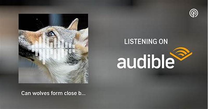 Can Wolves Form Bonds With Humans