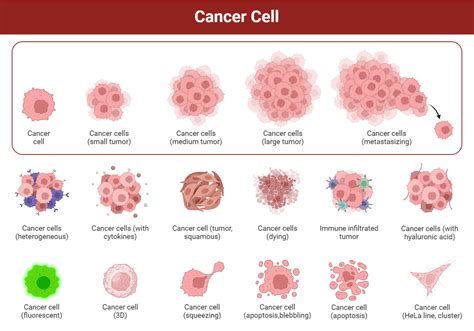Kanker Cells
