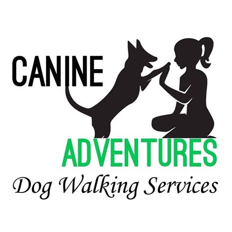 Canine Adventures Dog Walking Services Weston-super-Mare