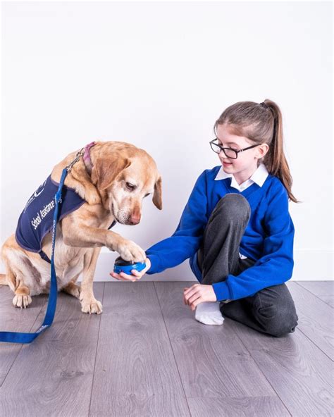 Canine Assisted Learning