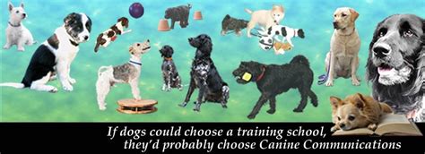 Canine Communications (Training Unit)