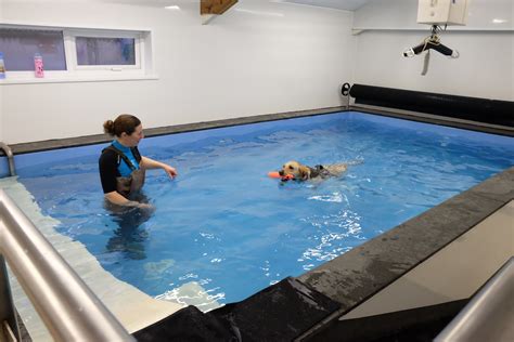 Canine Health Studio - Hydrotherapy & Physiotherapy