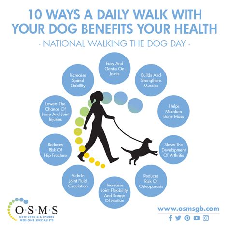 Canine Wellbeing
