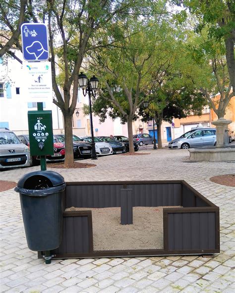 Canisite à Strasbourg