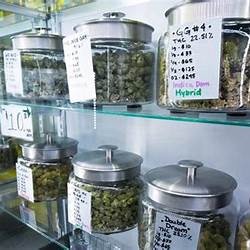 Cannabis Dispensary Equipment