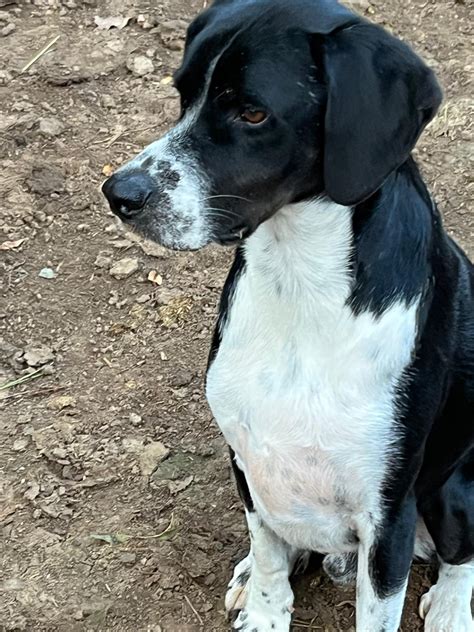 Canon Benoit à Rians