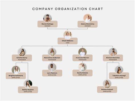 Canva Org Chart Template