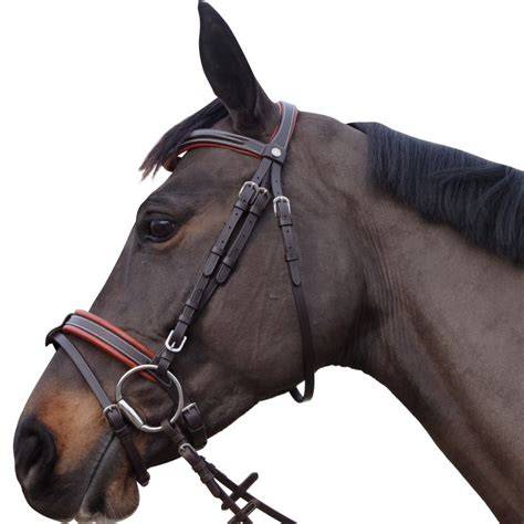 Cap Cheval à Limoges