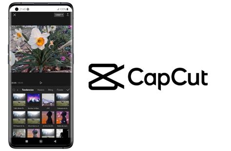 Capcut 4 Photo Template