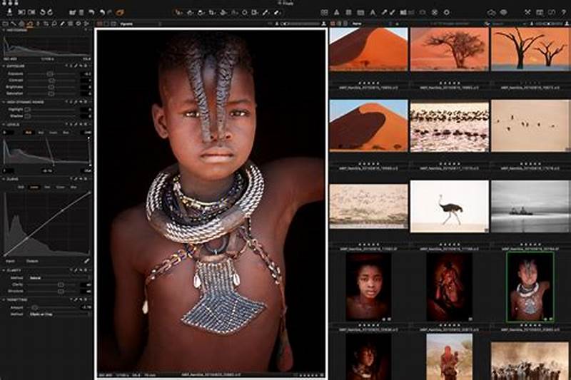 Capture One 12 Pro Export Catalog