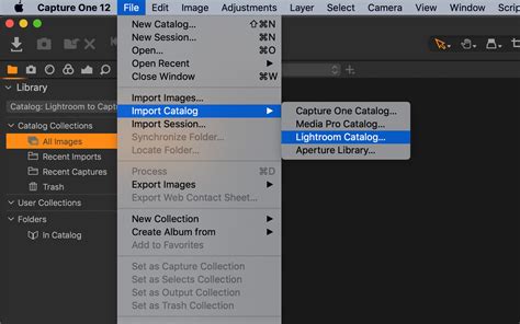 Capture One Apply Adjustment To Catalog