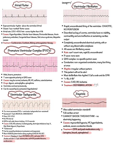 Cardiology Notes