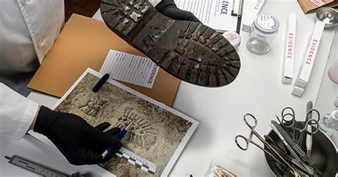 Career In Forensic Science