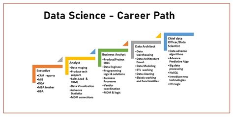 Career Path Of A Data Scientist