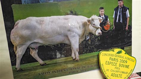 Caron Bernard à Chigny