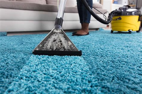 Carpet Cleaner Experts