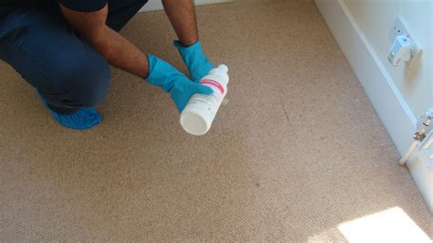 Carpet Cleaning Hornsey
