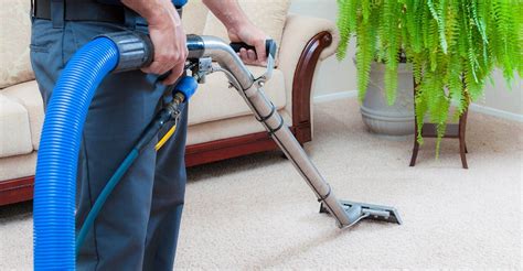 Carpet and upholstery cleaning Devon