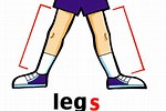 Cartoon Body Parts Legs