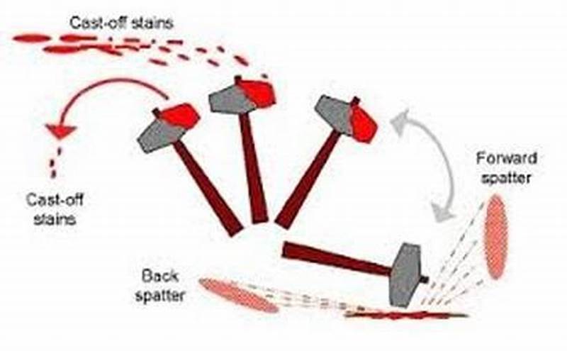 Cast Off Pattern Definition Forensics