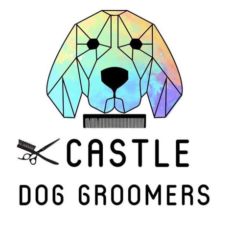 Castle Dog Groomers - Dog Grooming