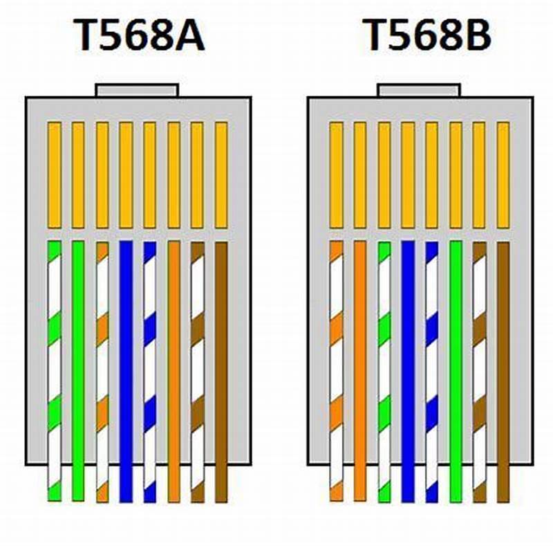 Cat 6 Color Pattern