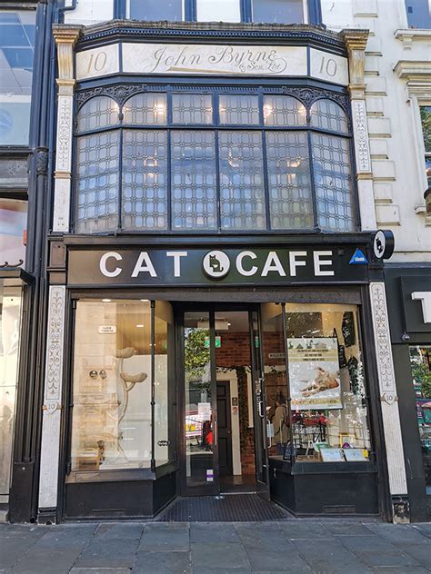 Cat Cafe Liverpool