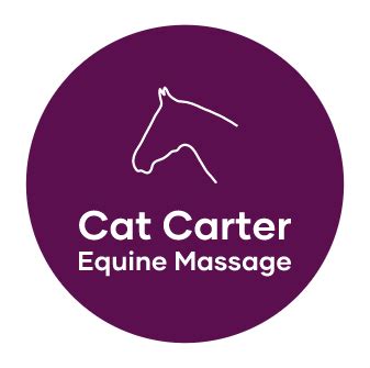 Cat Carter Equine Massage