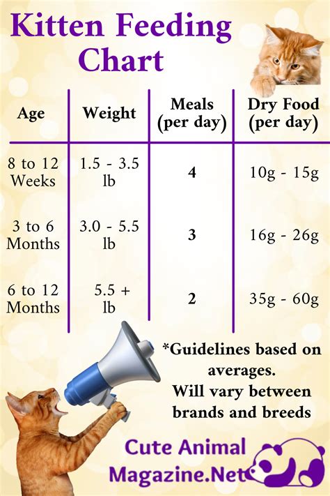 Cat Food Weight Chart