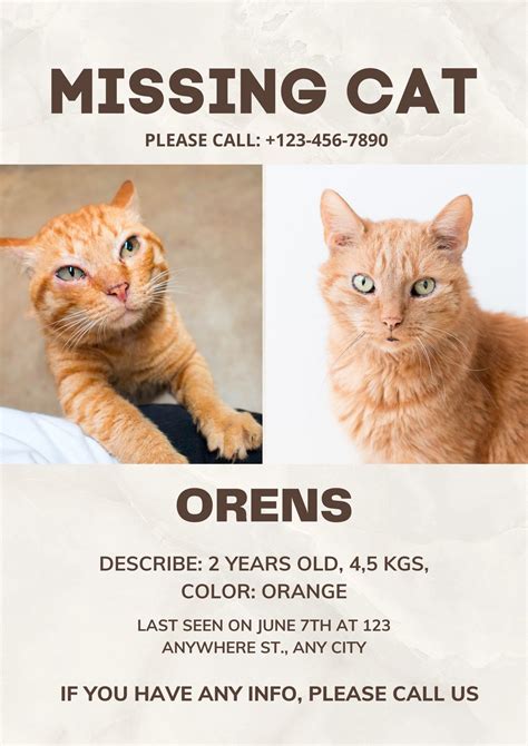Cat Missing Poster Template