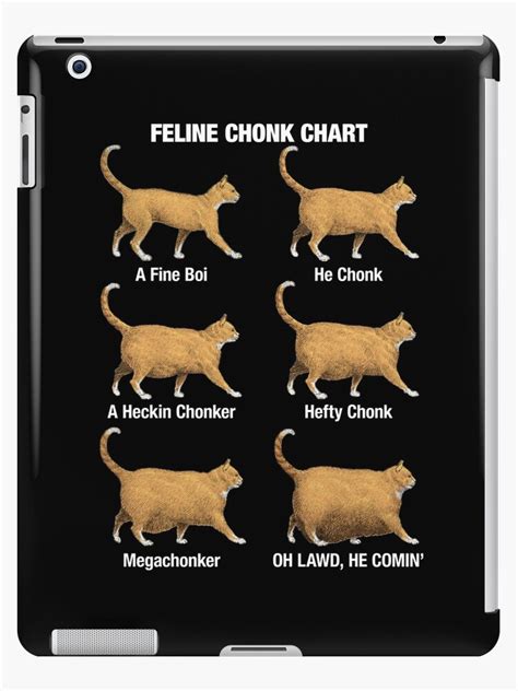 Cat Weight Chart Meme