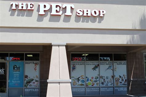Cat king The pet shop