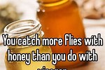 Catching More Flies with Honey than Vinegar