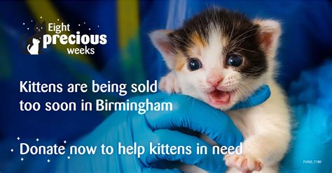 Cats Protection - Birmingham Adoption Centre
