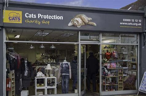 Cats Protection - Worthing Charity Shop