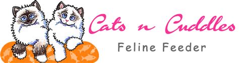 Cats n Cuddles (cat feeding service in Burton-on-Trent)