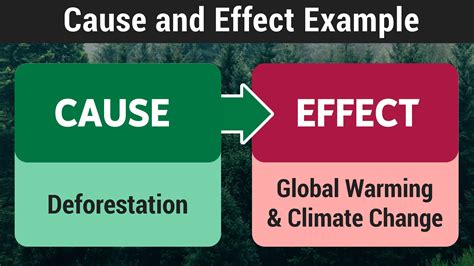 Cause and Effect