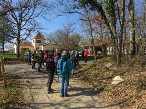 Causs'Ambu à Laburgade