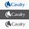 Cavalry-Portfolio-Services