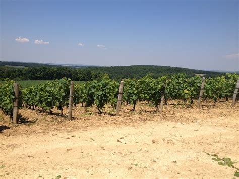 Cave Demuth à Tannay