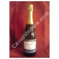 Caves Balta à Frontignan